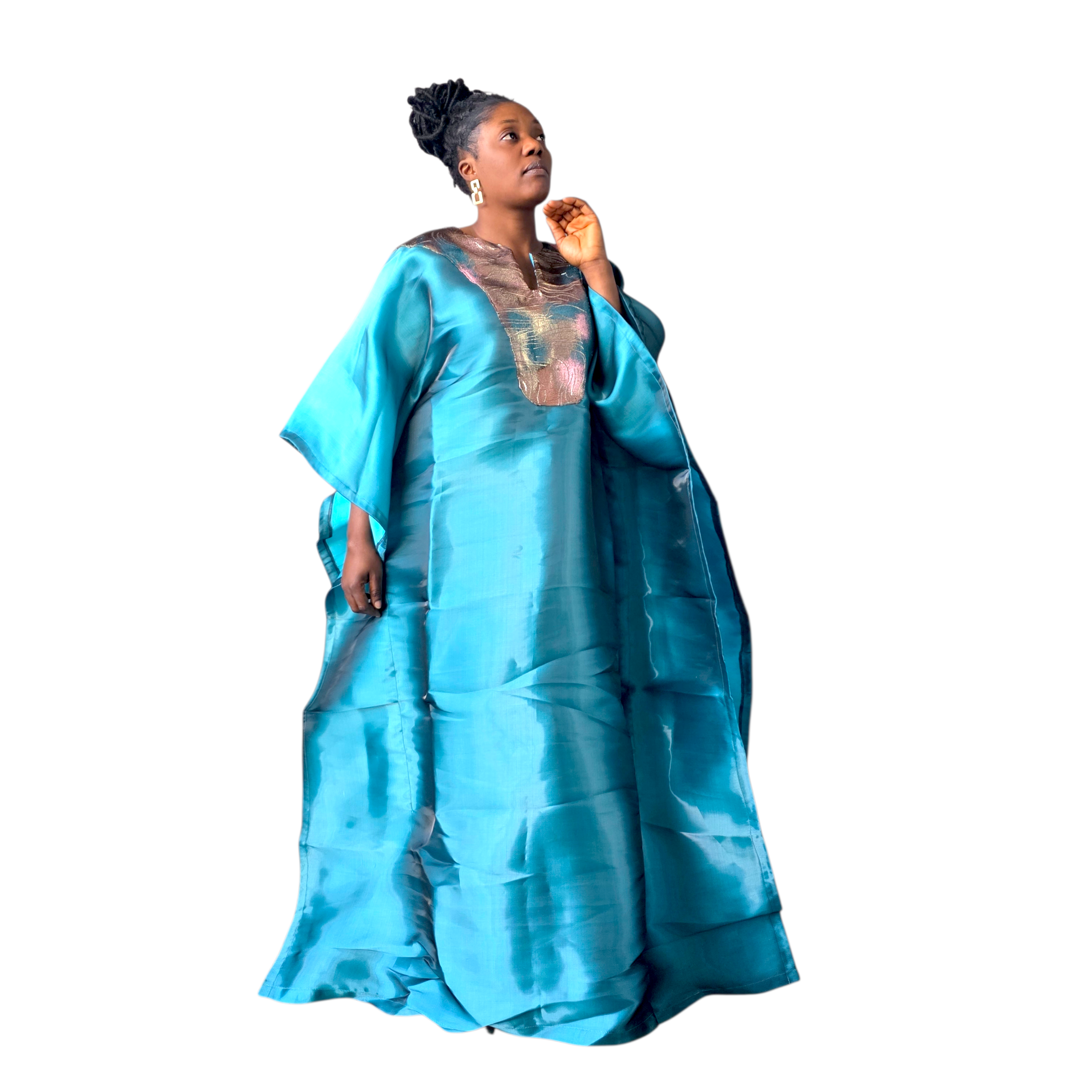 Imperial Butterfly Boubou